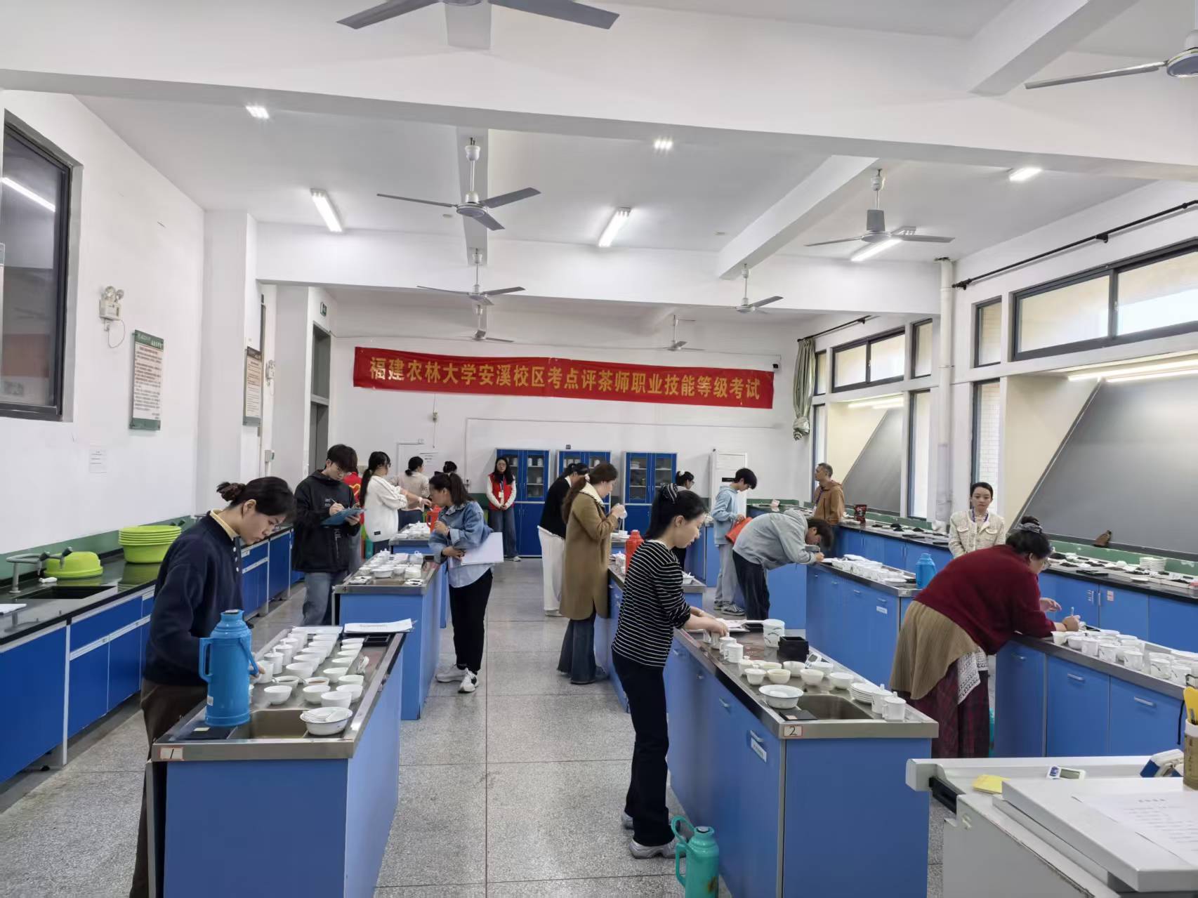 评茶员现场.jpg