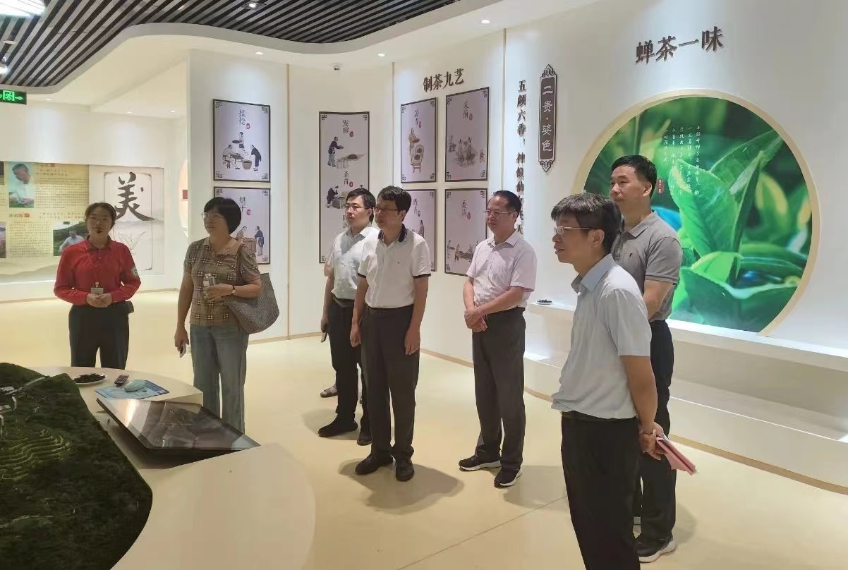 调研组参观大田美人茶主题馆.png